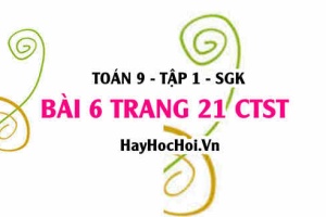 Bài 6 trang 21 Toán 9 tập 1 Chân trời sáng tạo SGK